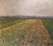 Gustave Caillebotte Yellow field France oil painting artist